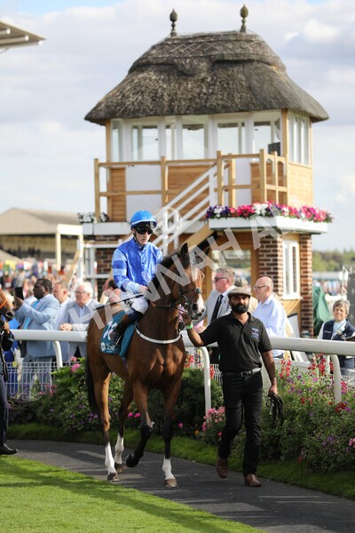 yr19082022r7-6 - Race 7 5.20pm Sky Bet Mile Stakes