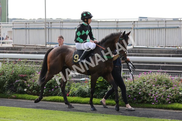 yr05092021rP-9 - Pony Races 138 and 148 cm