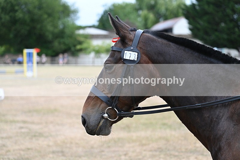 WJ7_1356 - Class 8 Ridden Veterans
