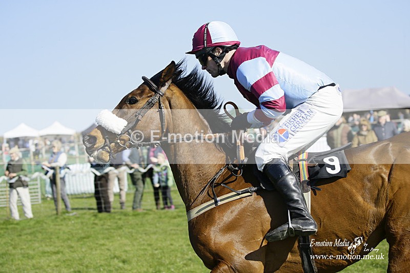 PtP 190322 506 - Wilton Hunt PtP Milborne St Andrew 19/03/22