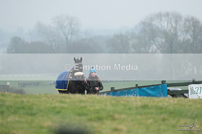 PtP 100324 452 - Pytchley with Woodland Point-to-Point Guilsborough 10/03/24