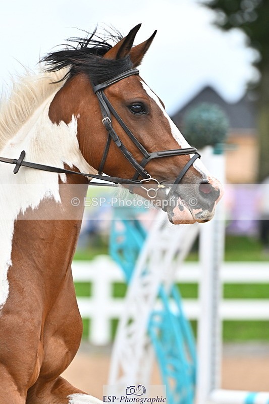 240723A-155701-00035 - 50cm and 60cm