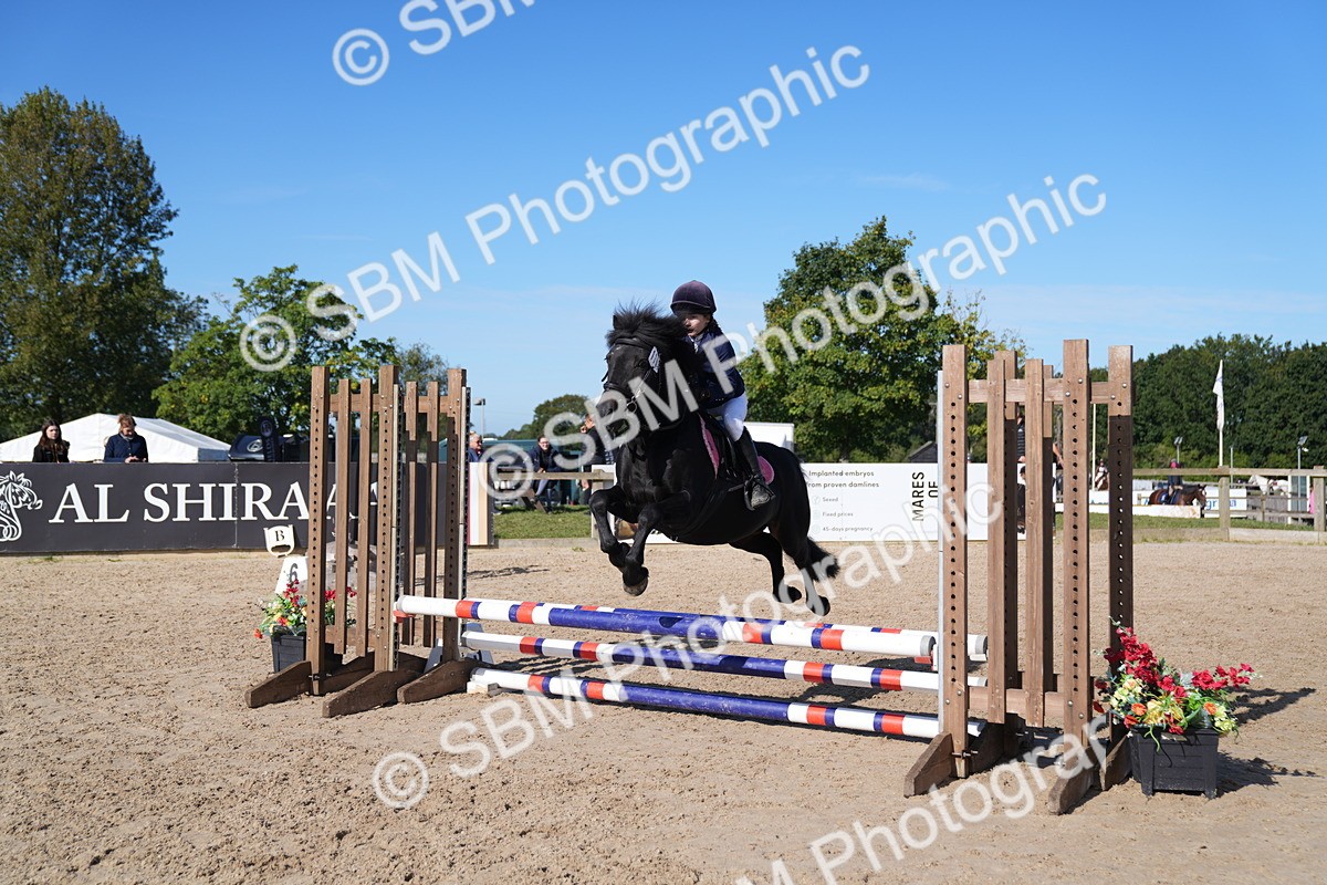 SBM_17644 - J58 - Clear Round 60cm