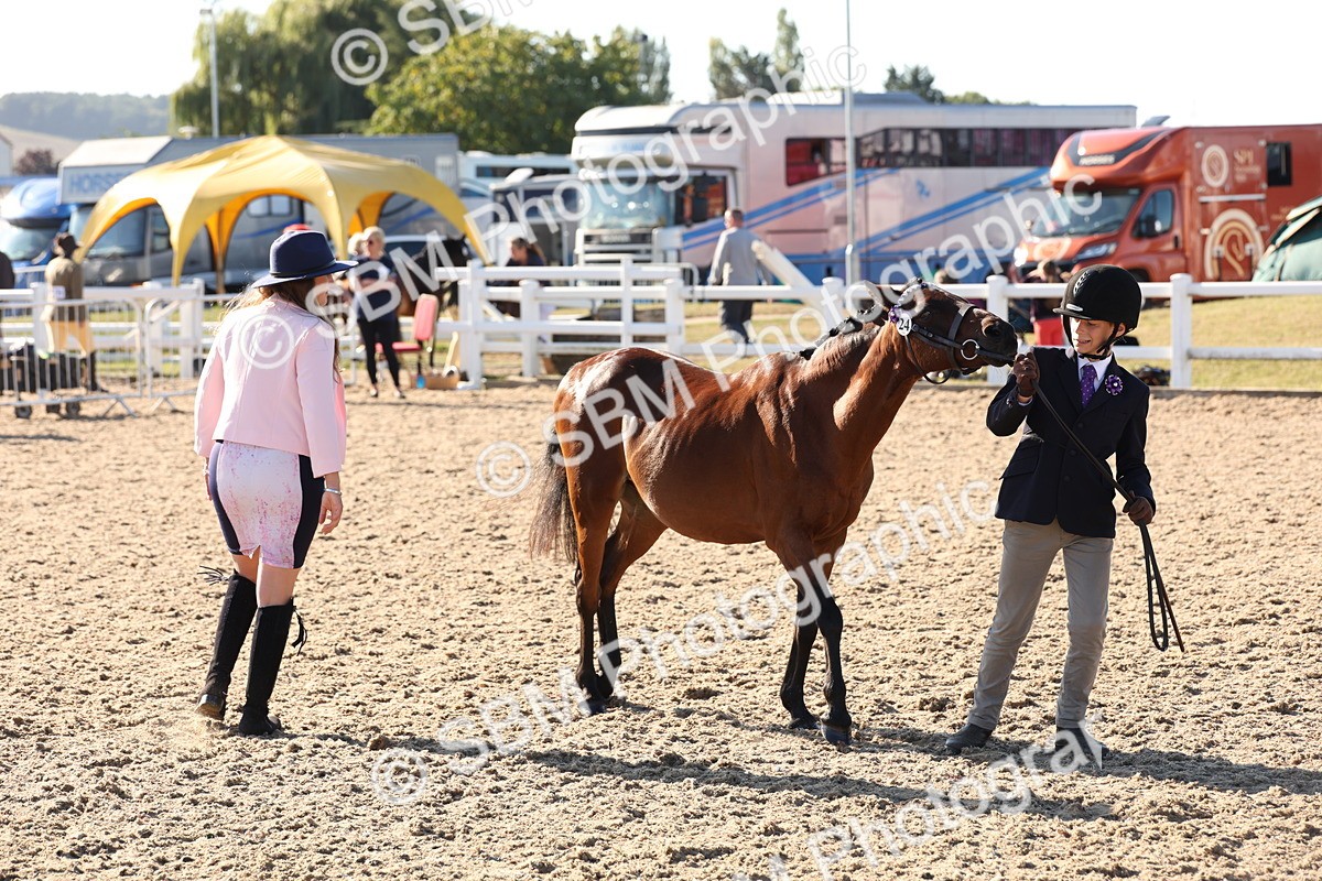SBM_11680 - Class 203 - Young Handler 11 to 16 years