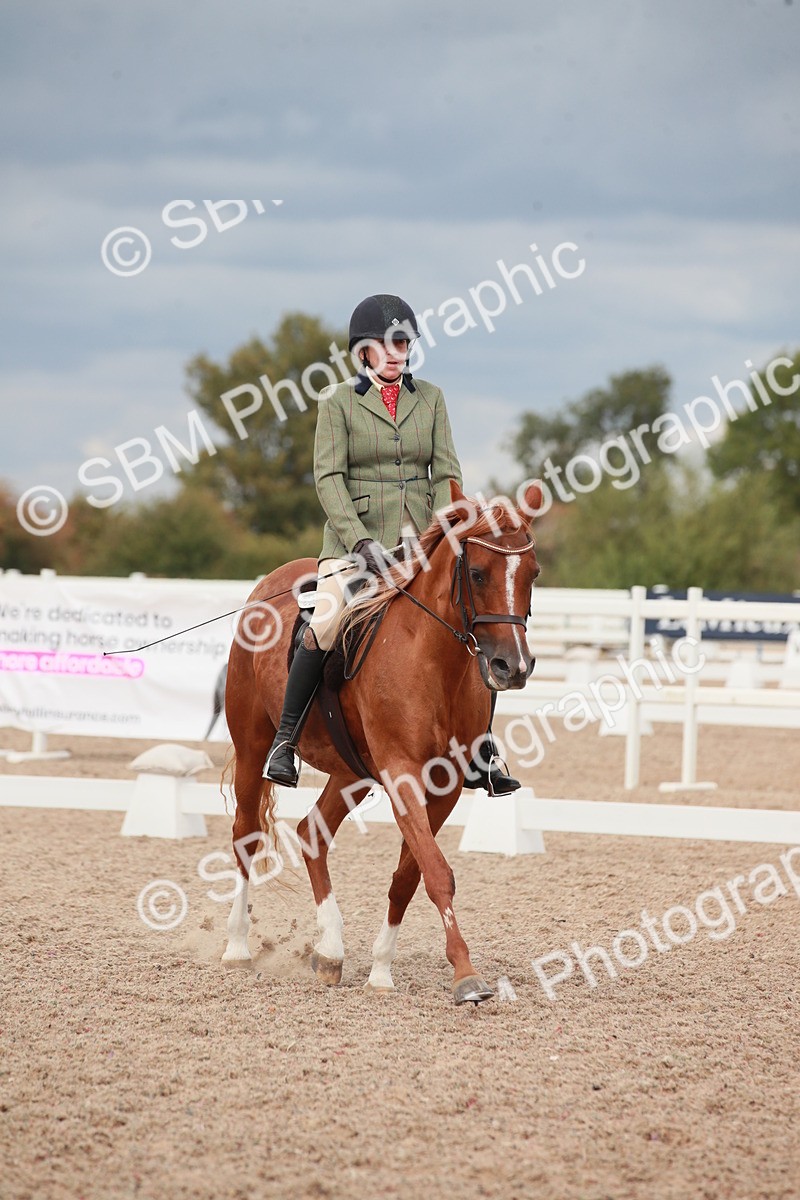 SBM_06008 - Class 32 - Novice 1