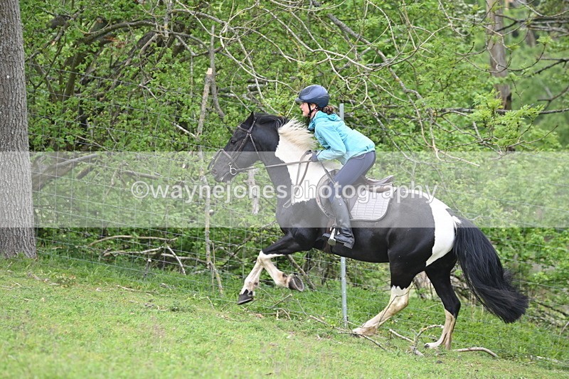 WJ6_3071 - A Camera