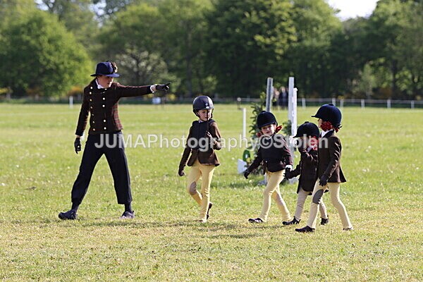 IMG_2101 - Working Hunter