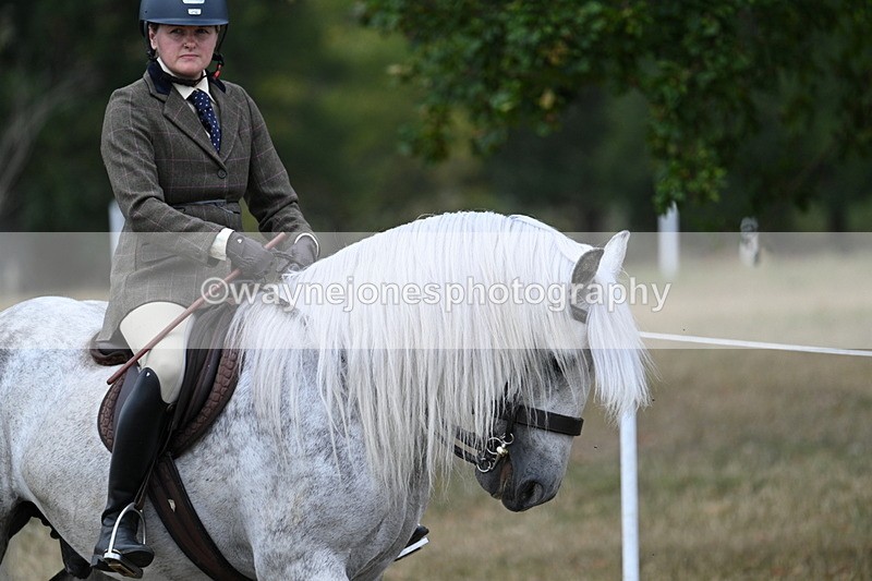 WJ7_4749 - Class 12 Ridden Cob