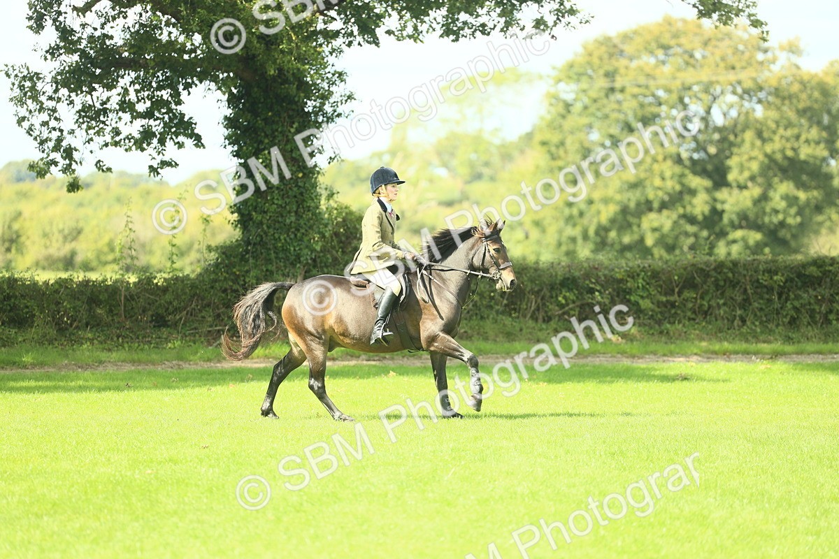 SBM_42898 - S30 - M&M Working hunter Pony