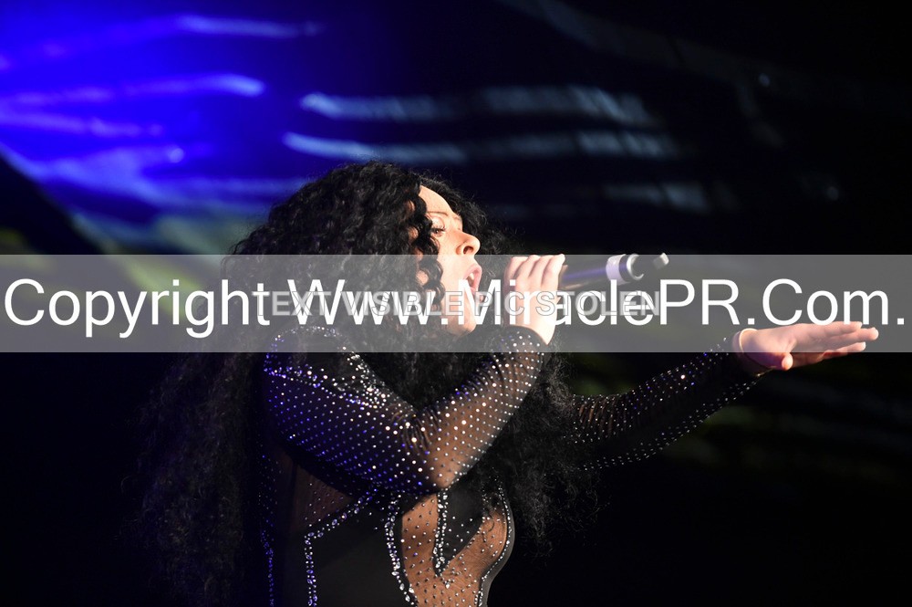 SH4_6356 - The Cher Experience