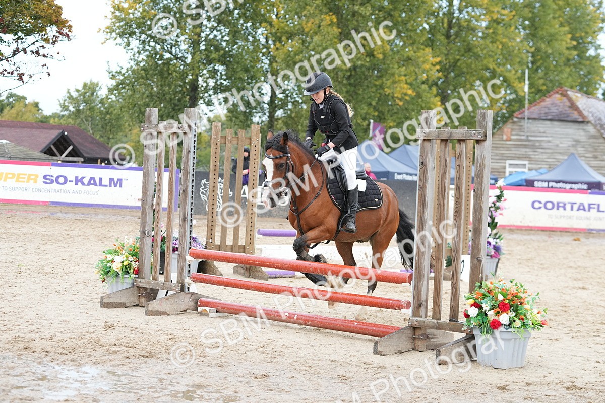 SBM_39759 - J6 - Junior Pony 55cm Championship