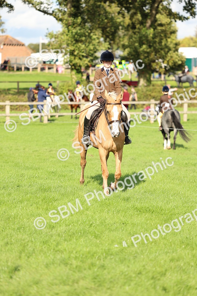 SBM_50071 - S34 - Novice & Newcomers Working Hunter