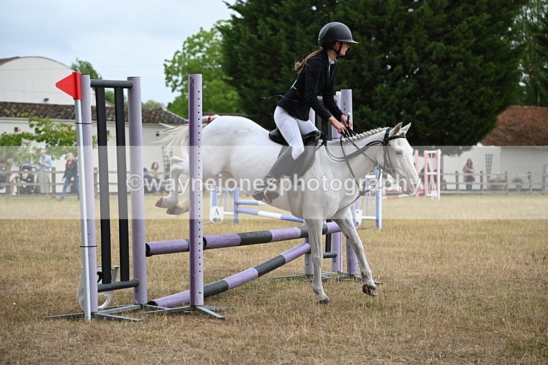 WJ6_0247 - Class 13 Novice Jumping 60cm