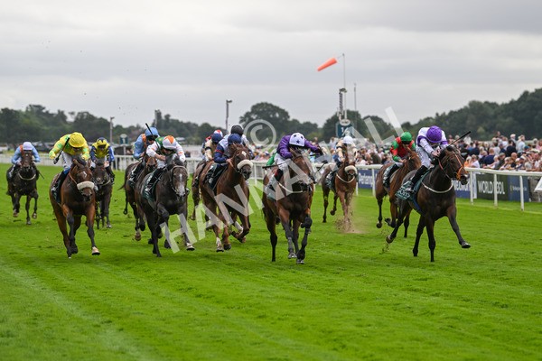 220824-Race 2-Diligently-6813 - Race 2 2.25pm Harry's Half Million By Goffs Premier Yearling Stakes