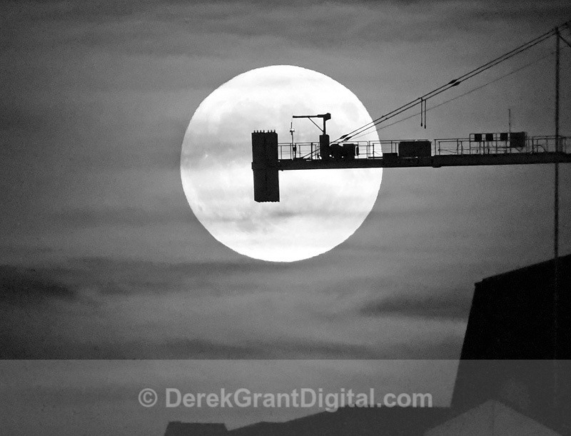 Super Moon, Super Crane, Super Silhouette Saint John NB - Sunset/Moonrise