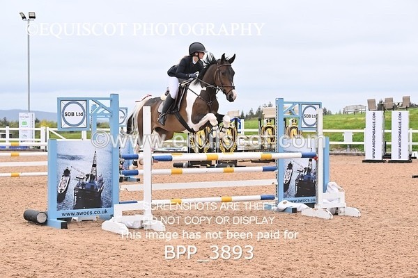 BPP_3893 - CLASS 16 SUN Senior Newcomers/1.10m Open
