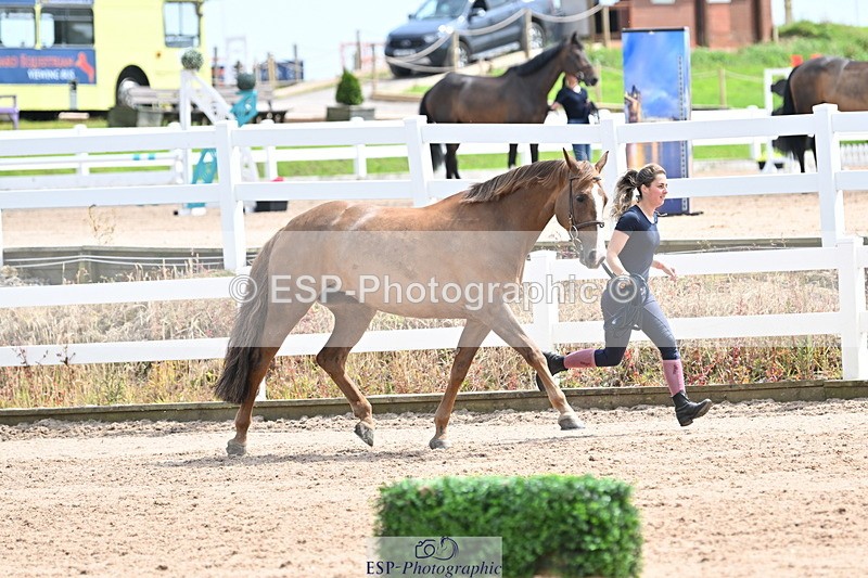 240717A-144254-02226 - Trot Up 2pm to 3pm - This folder is not in time order