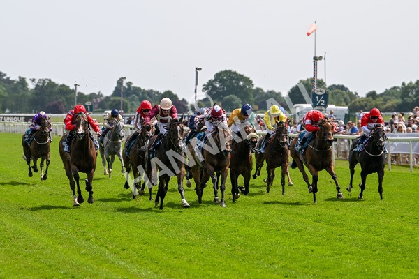 130625-Race 3-Easy Peeler-8996 - Race 3 3.00pm British EBF Supporting Racing With Pride Fillies' Handicap