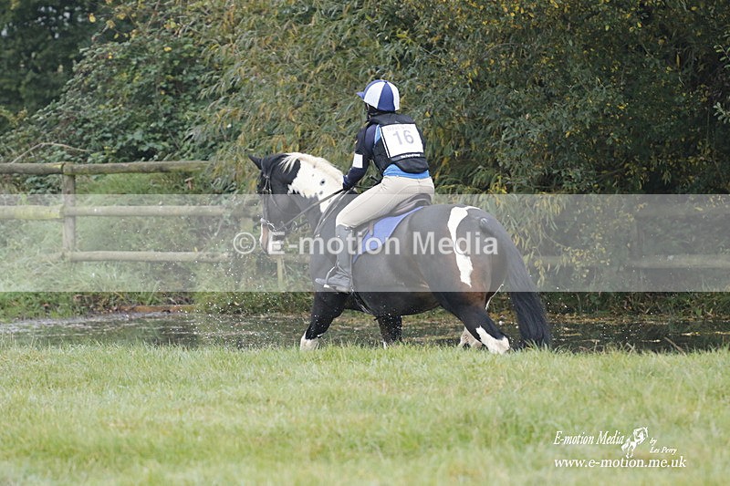 WWHT 171021 0448 - Novice Restricted (0.80m)  17/10/21