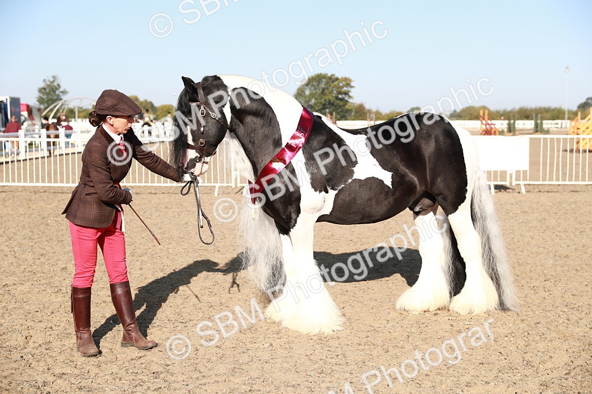 SBM_00091 - Class 40 Best Turned Out IH