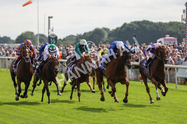 yr18082021r3-59 - Race 3 3.00pm Sky Bet Great Voltigeur Stakes