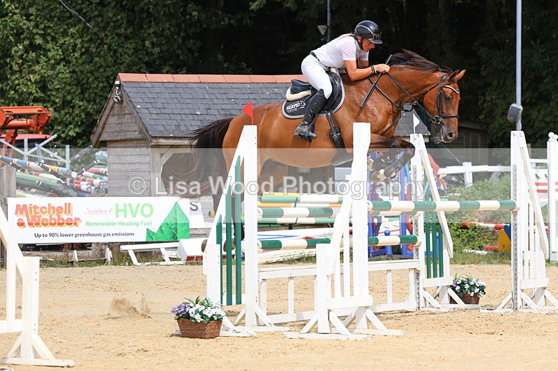 3E7A4263 - Class 8: Senior Foxhunter/1.20 open