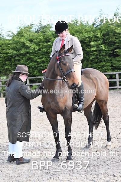 BPP_6937 - RING 1  (RIDDEN HORSES / IN HAND / VETERAN ETC)