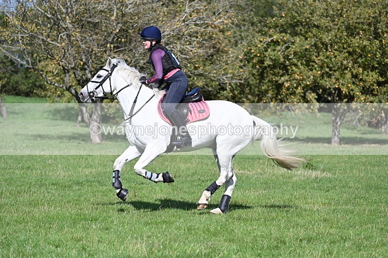 WJ7_1501 - Time 13:56 to 14:24