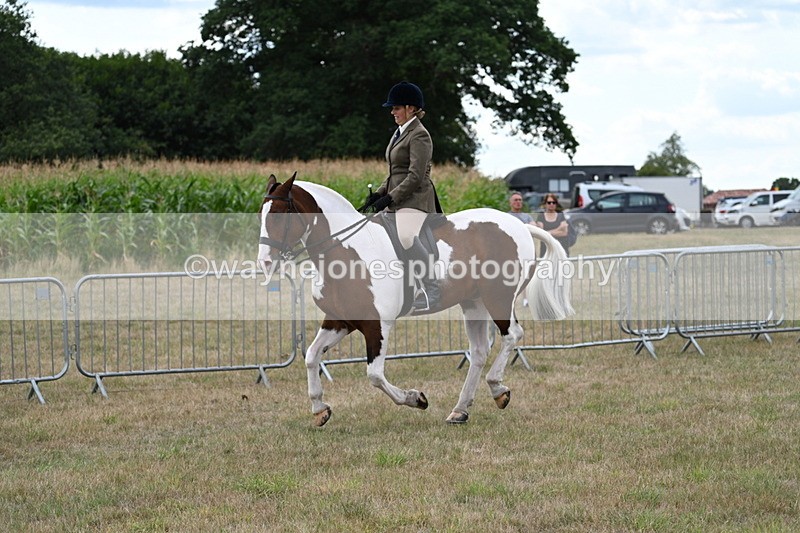 WJ7_5090 - Class 12 Ridden Cob