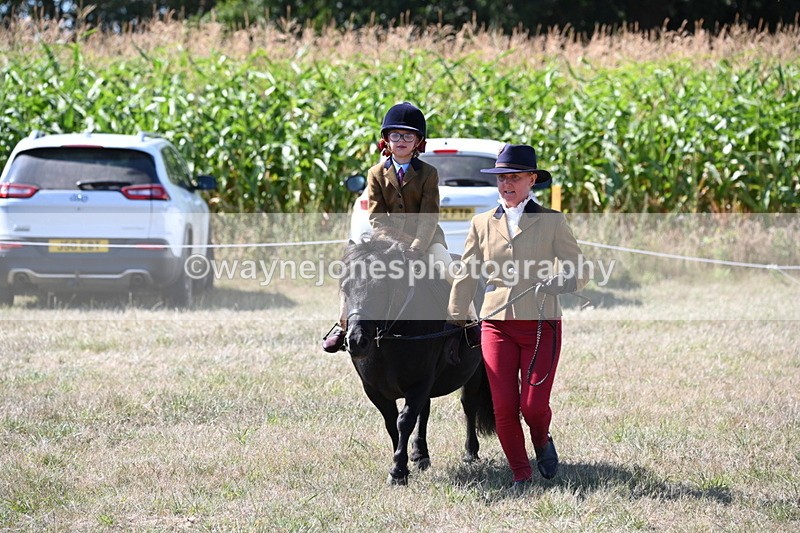 WJ6_8108 - Class 36 Lead Rein