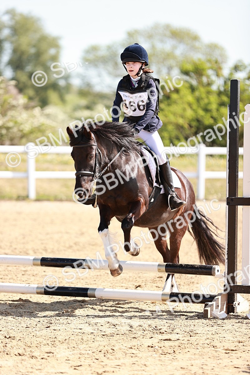 SBM_006789 - Class 2 - 50cm