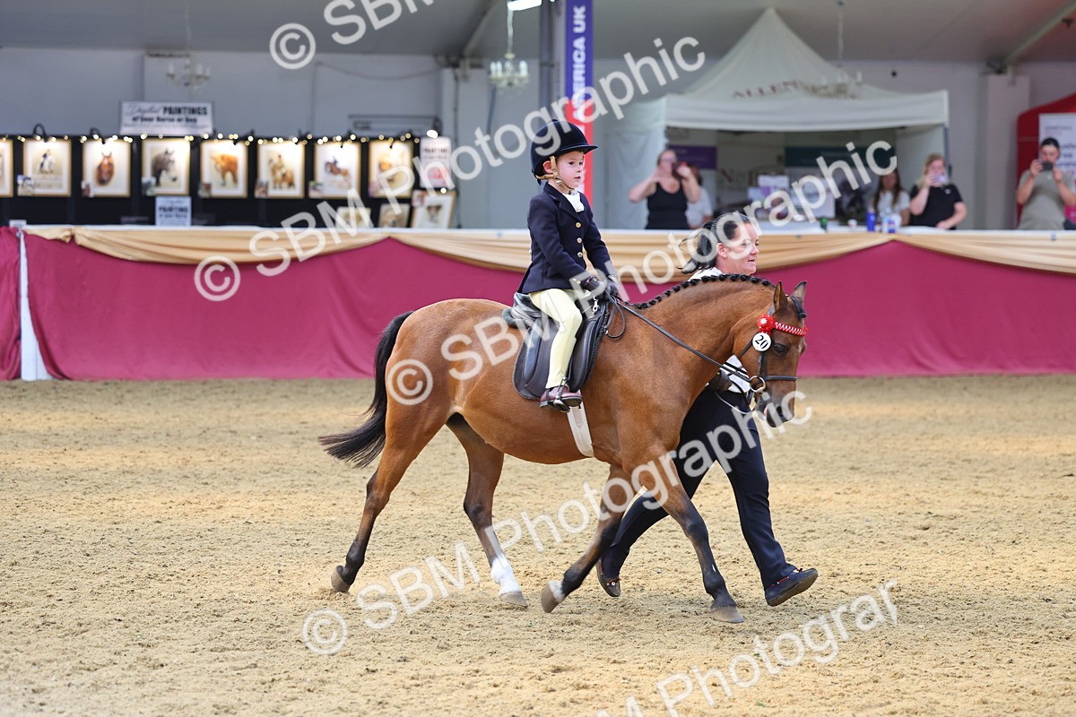 SBM_23998 - Class 905 - Supreme Final - Ridden Veteran
