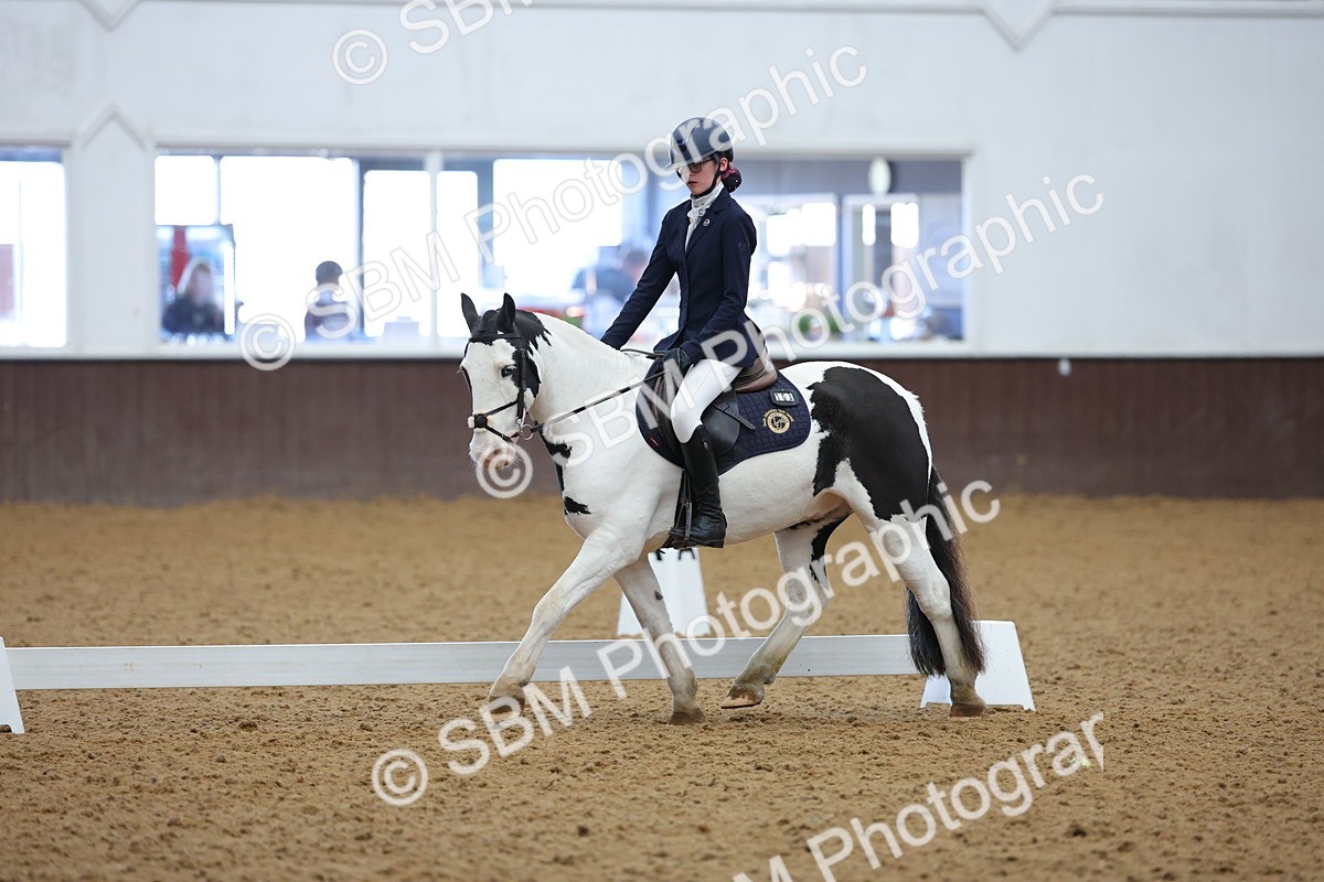 SBM_003068 - Novice