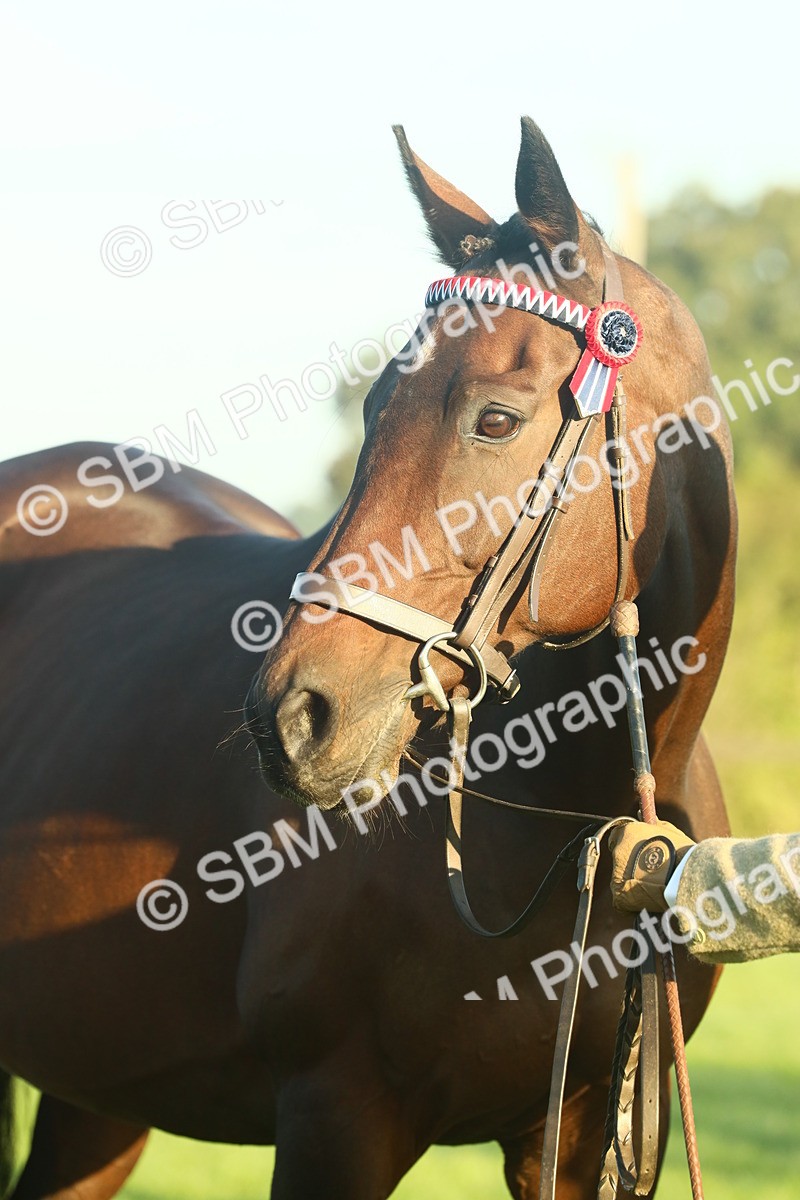 SBM_56650 - S36 - Starters Best Turnout