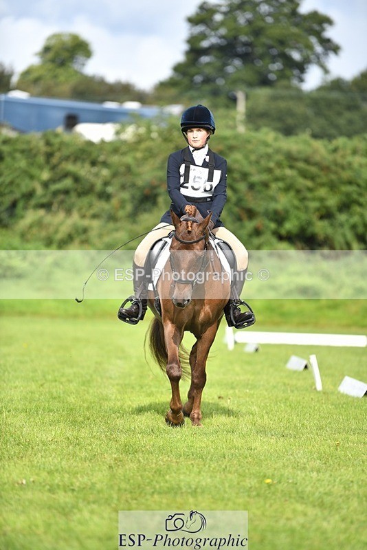 230826-094008-15185 - Sections C & D 9 to 10am