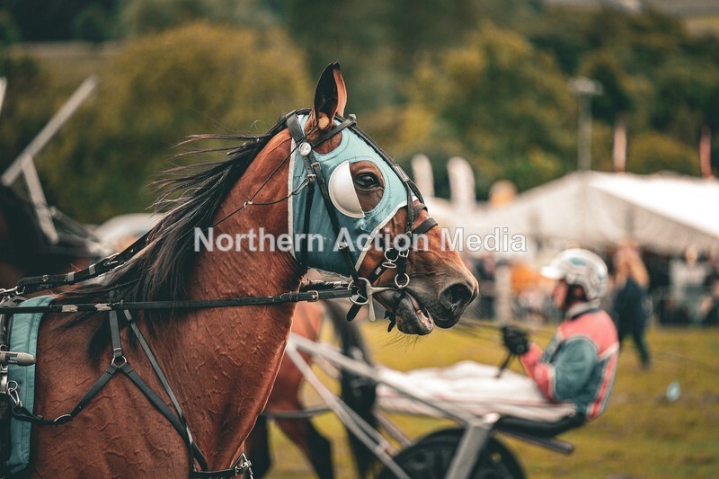 DSCF7365 - Kilnsey Harness racing