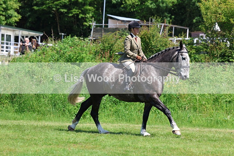 3E7A8255 - Class 13: Ridden Hunter