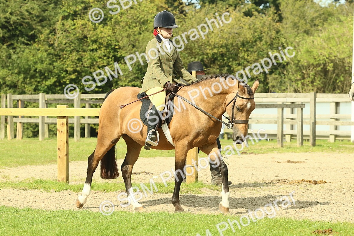 SBM_67375 - S56 - Coloured Pony Ridden