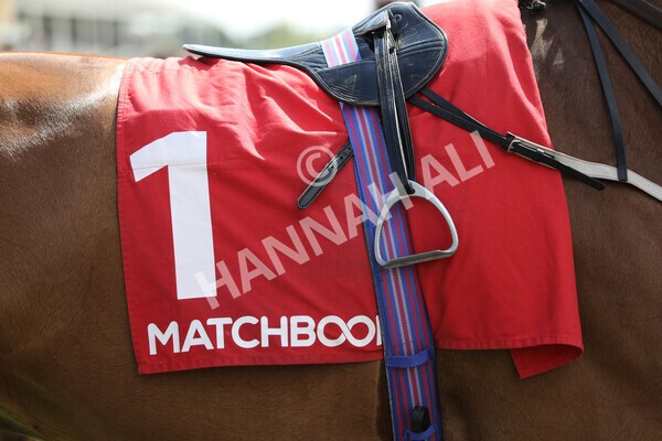yr13052021r1-6 - Race 1 1.40pm The Matchbook Betting Exchange Stakes