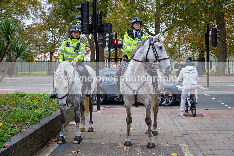 NGP_8175 - 2024 Animals in War Remembrance Gathering