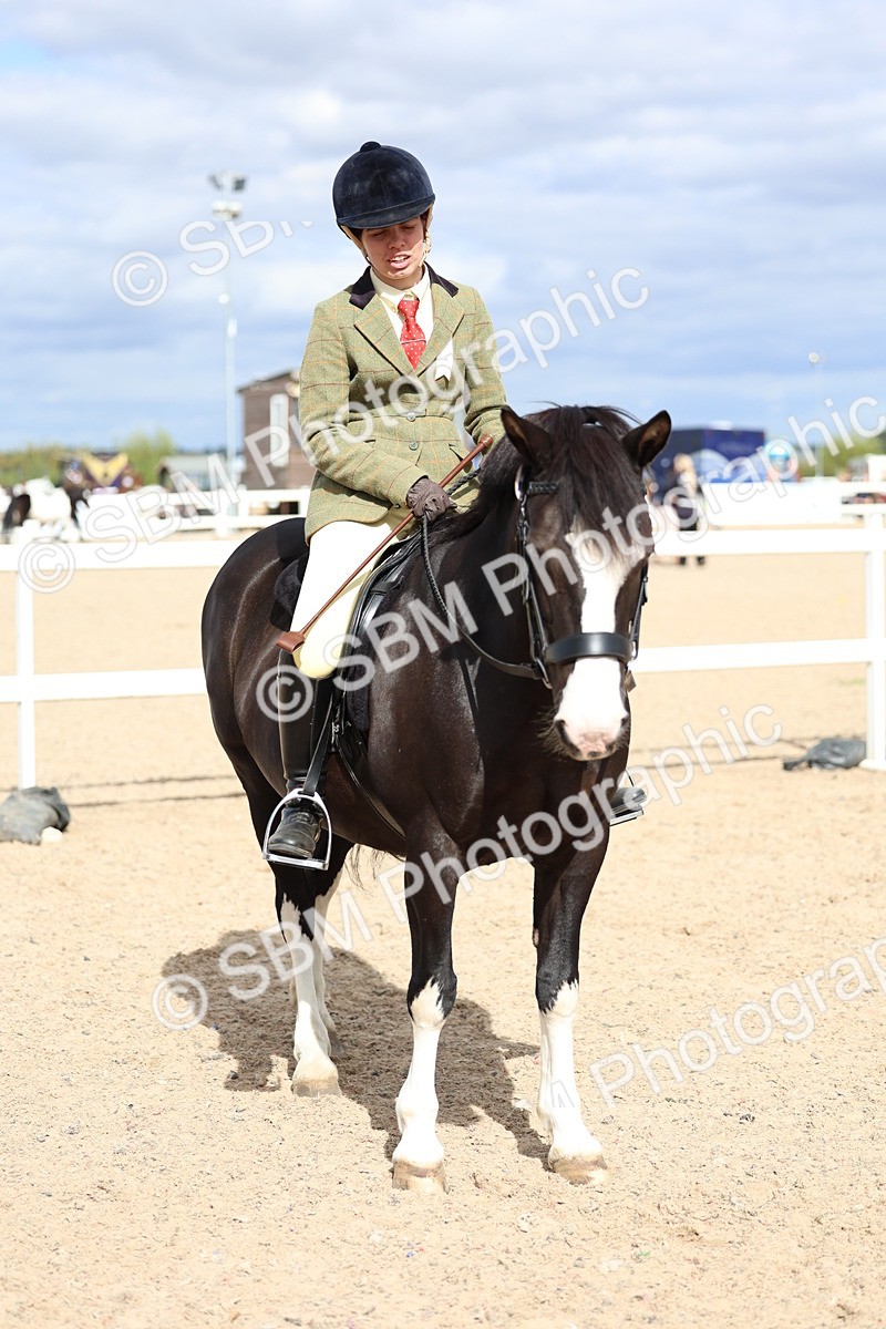 SBM_15846 - Class 314 - Family Horse - Pony