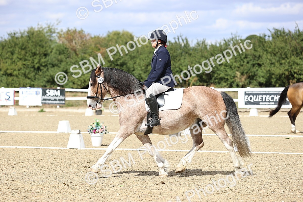SBM_014559 - Class 5 - E5 Bronze 13.30.14.18