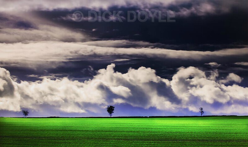 Small trees big sky - Minimalist landscapes