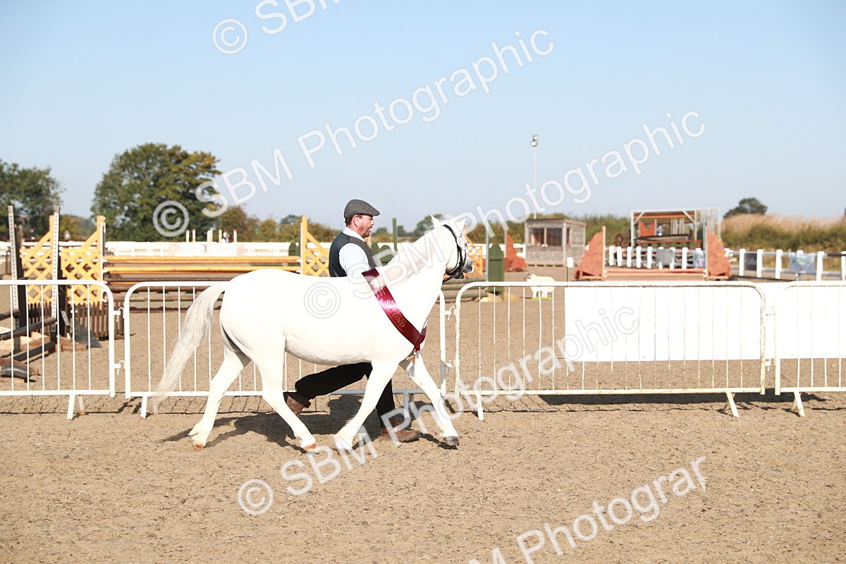 SBM_00165 - Class 40 Best Turned Out IH