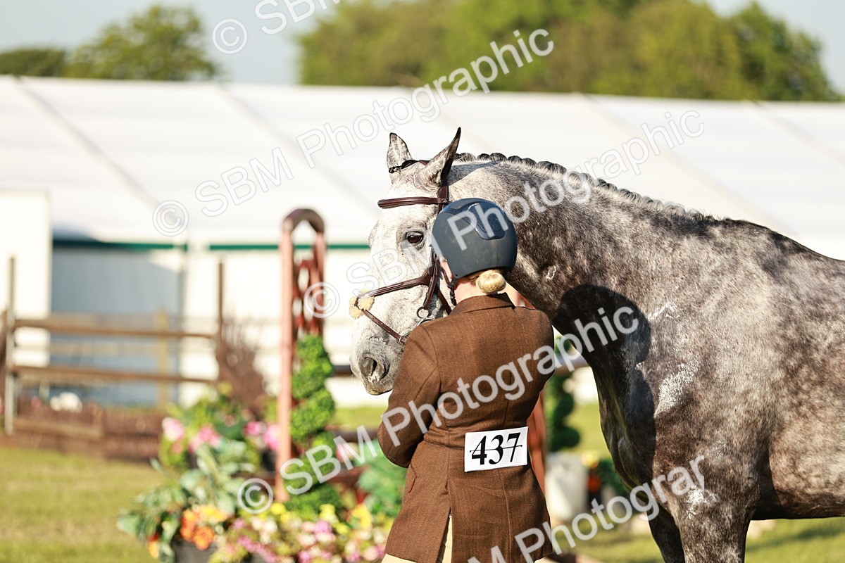 SBM_20508 - Class 117-119 - Sport Horse Working Hunter