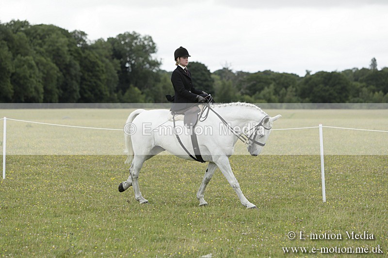 BVR160717-2354 - Side Saddle Classes 16/07/17