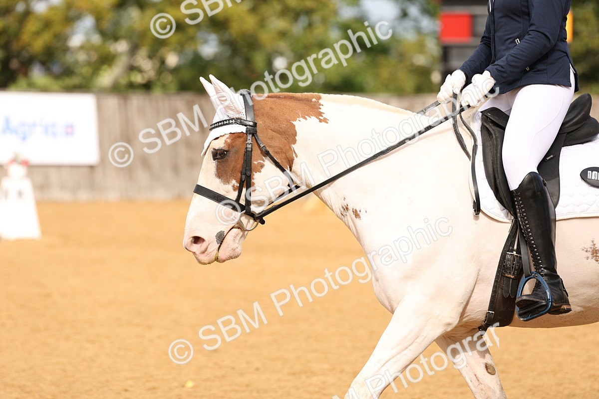 SBM_03555 - D1 - Small Tour Championship Intro 1