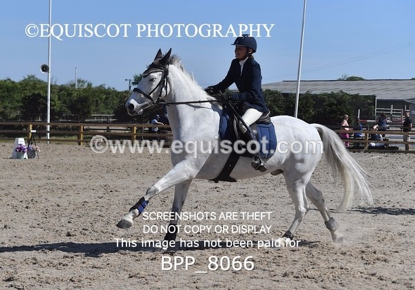 BPP_8066 - CLASS 3 Senior BritiNovice/ 90cm Open