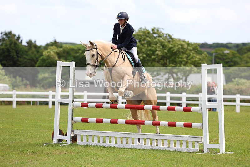 3E7A7720 - Class 13: Senior British Novice/90cm open