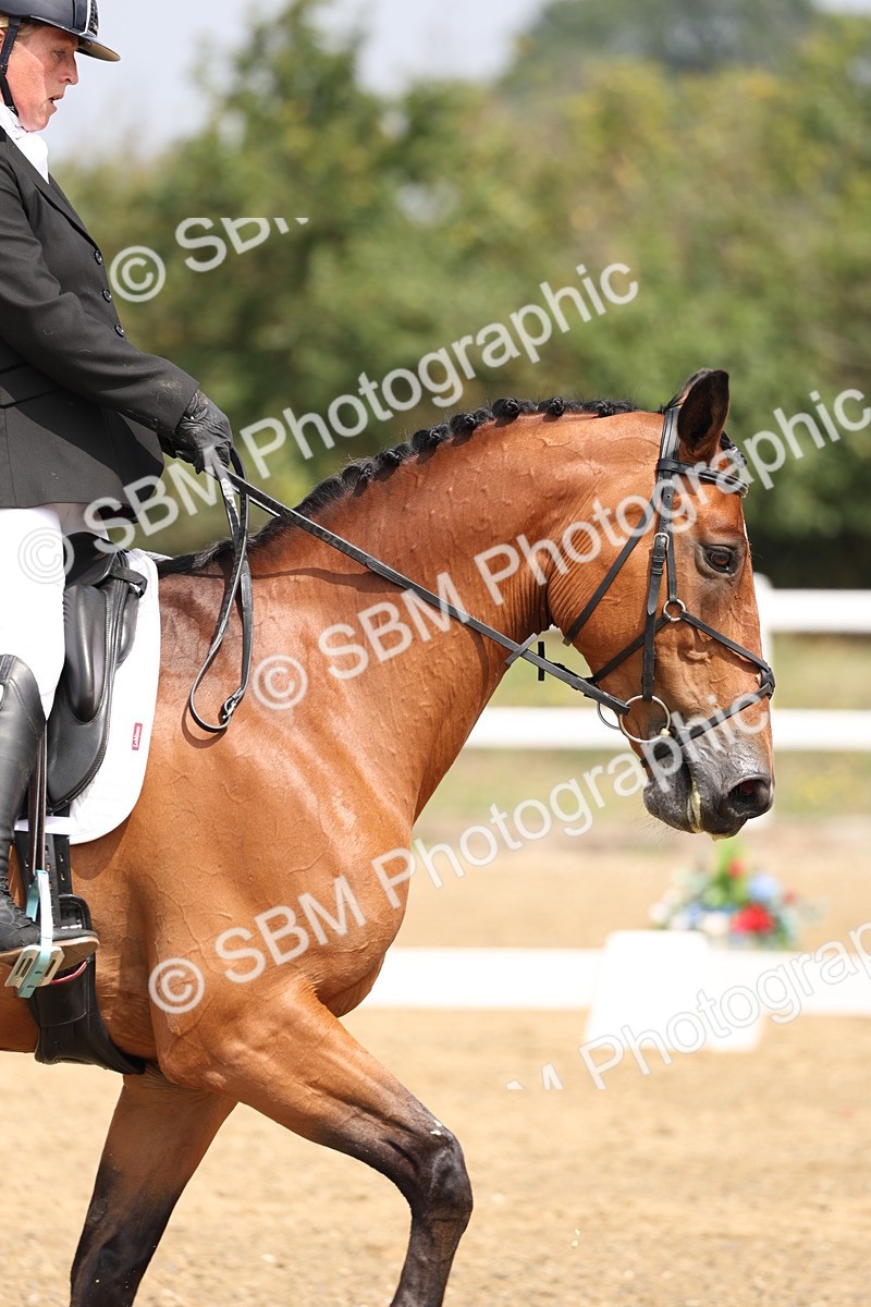 SBM_006179 - Class 6 - novice 6 - 11.50-12.46